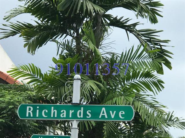 Richards Avenue (D19), Terrace #149659072